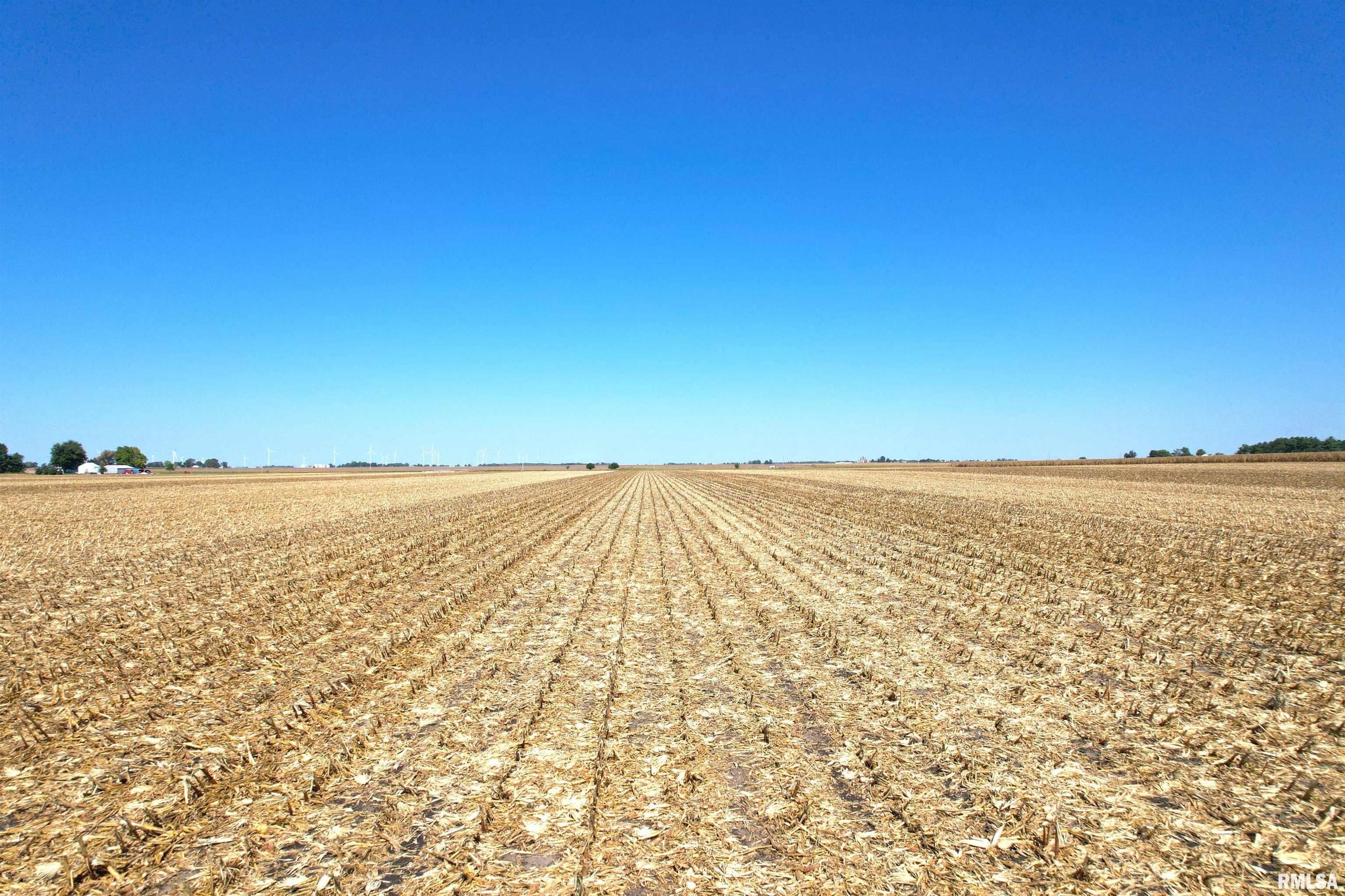 Mansion Road New Berlin, IL 62670 - Photo 7 of 13