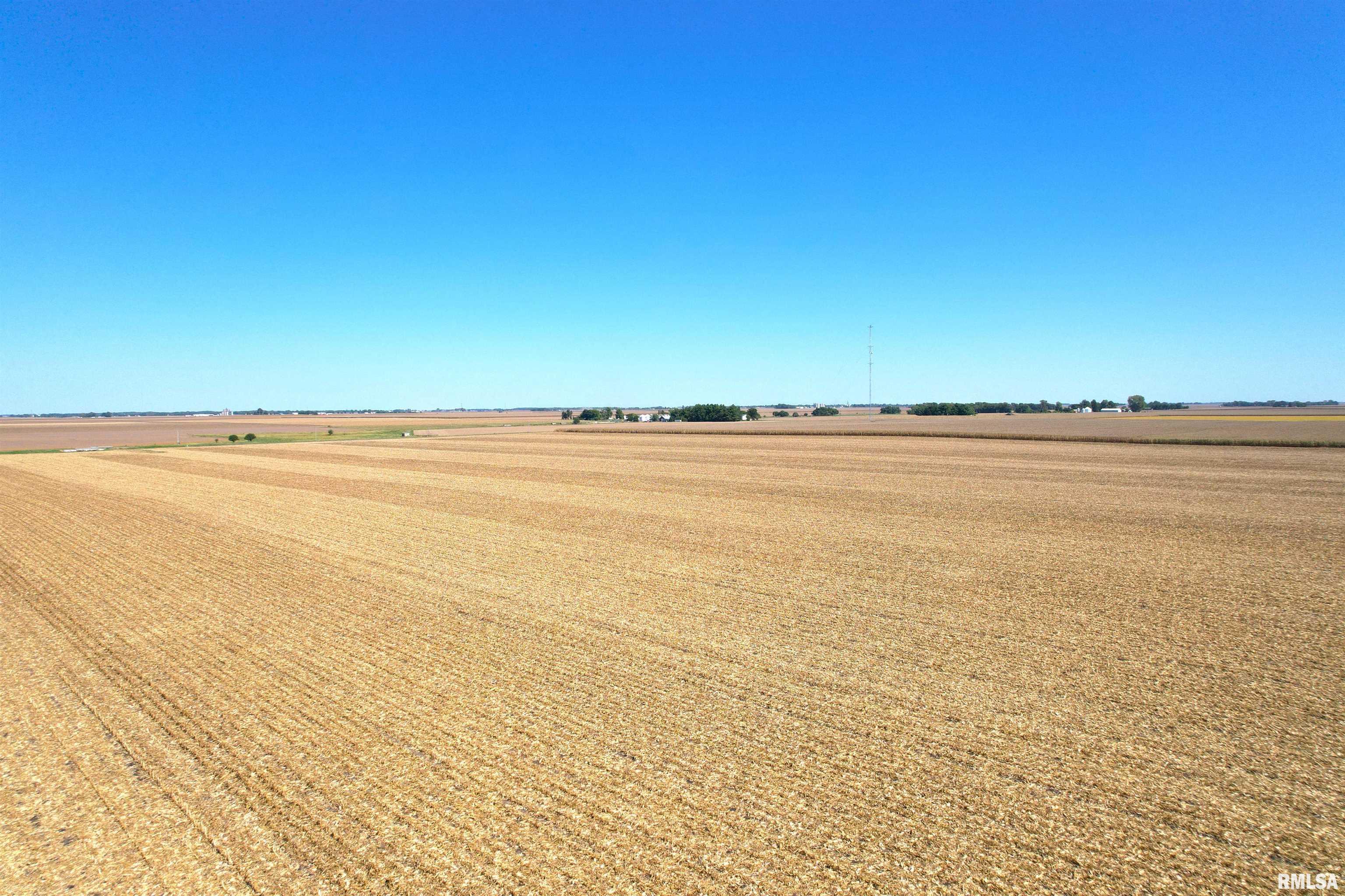 Mansion Road New Berlin, IL 62670 - Photo 8 of 13