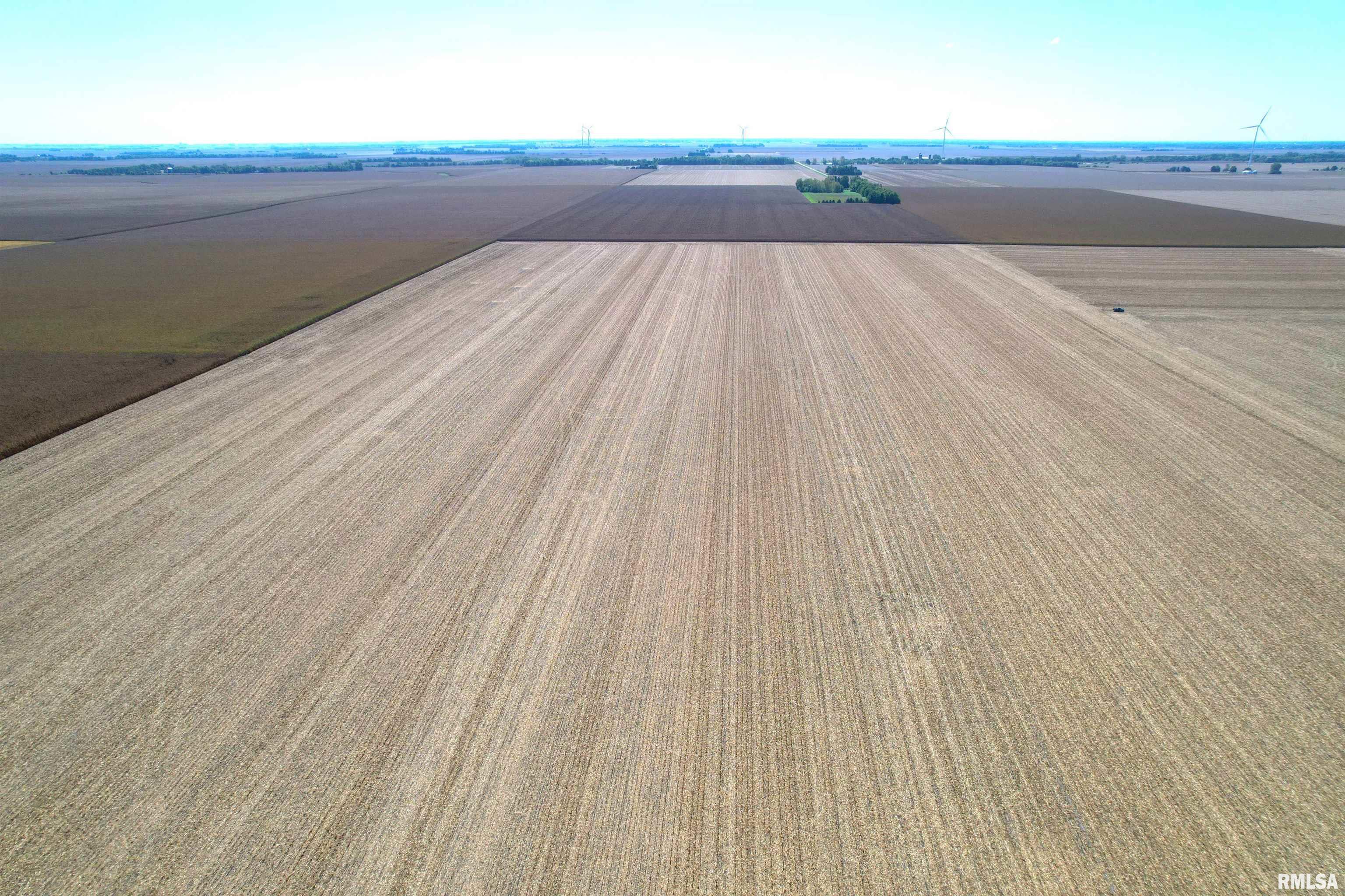 Mansion Road New Berlin, IL 62670 - Photo 10 of 13