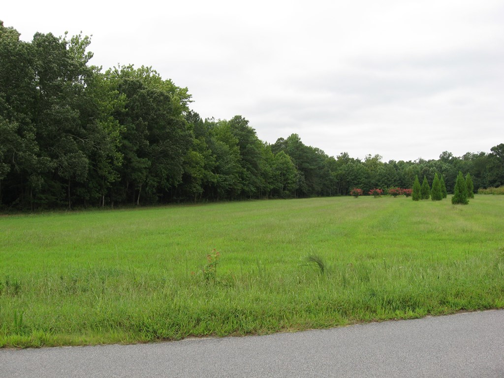 0 Broadwater Road, Unit 8A Exmore, VA 23350 - Photo 2 of 8