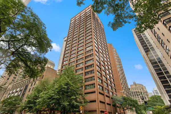 $3,300 | 247 East Chestnut Street, Unit 2503, Chicago, IL 60611