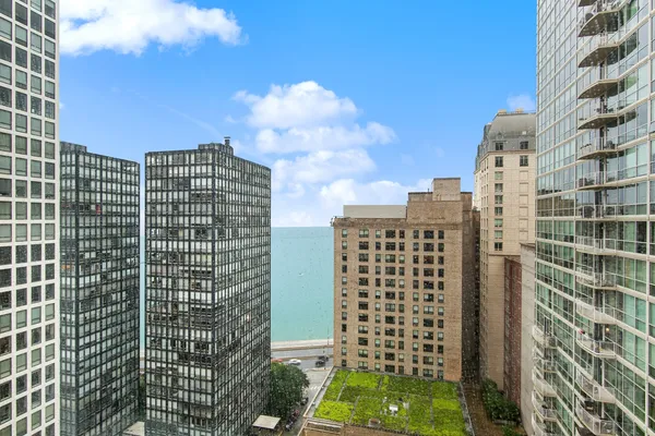 $3,300 | 247 East Chestnut Street, Unit 2503, Chicago, IL 60611