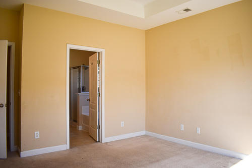 323 Killarney Trail Moncks Corner, SC 29461 - Photo 12 of 36 DSC_0015