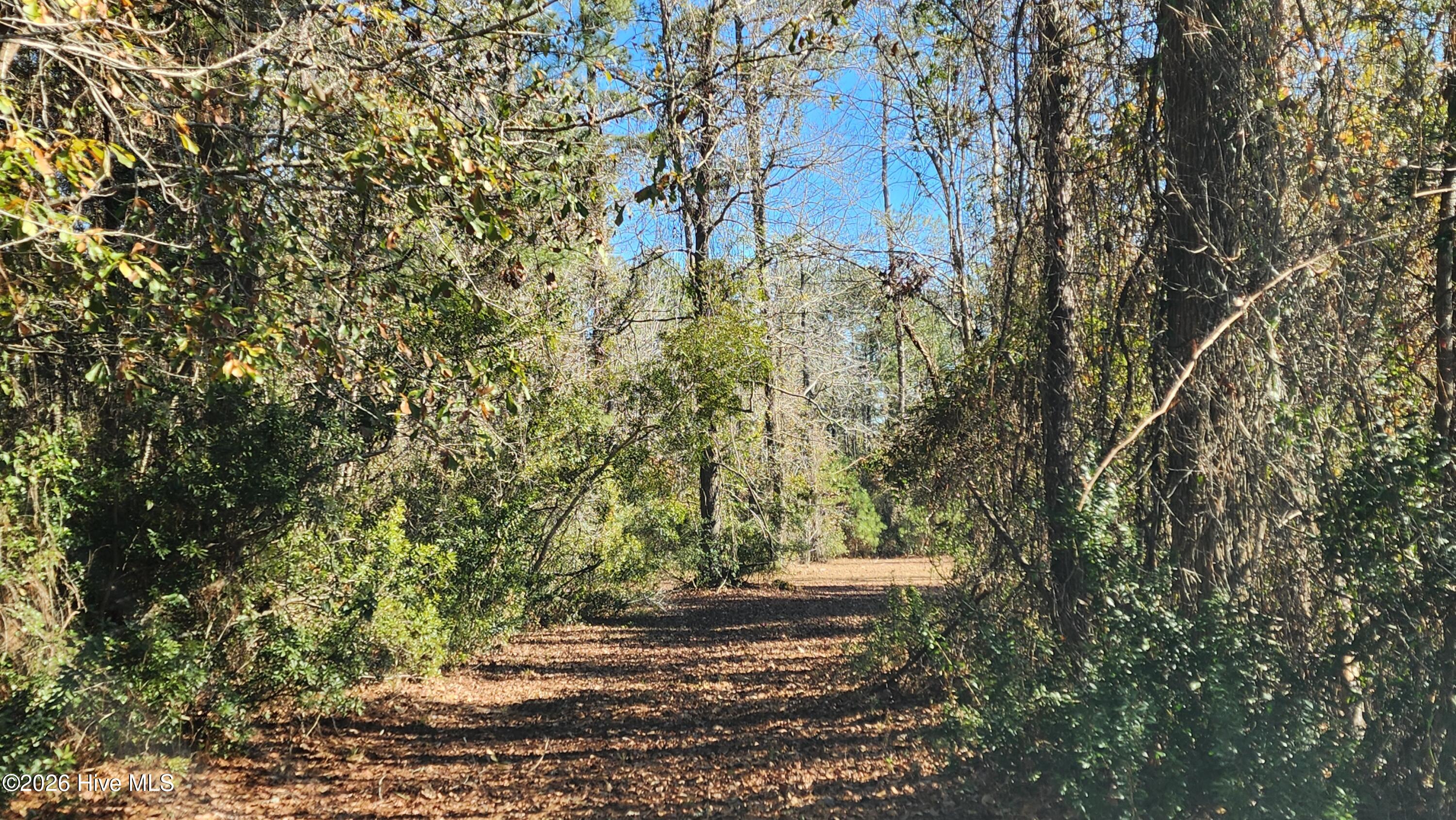 129 Cummins Creek Road Beaufort, NC 28516 - Photo 9 of 22 20250120_130710