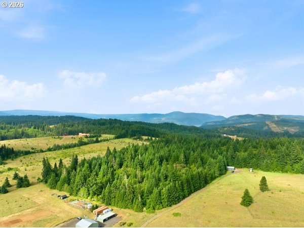 Snowden Road White Salmon, WA 98672 - Photo 6 of 26