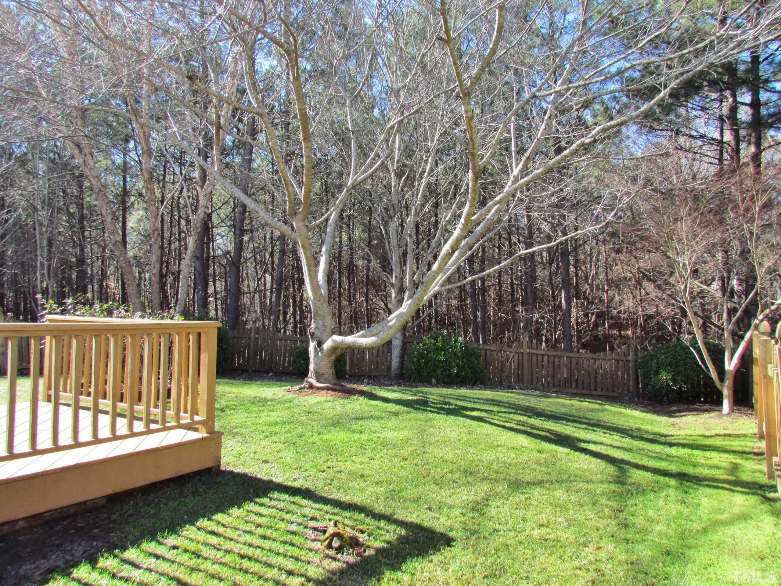 8421 Whisper Ridge Place Raleigh, NC 27613 - Photo 23 of 30 a view of a backyard with a small deck and a large tree