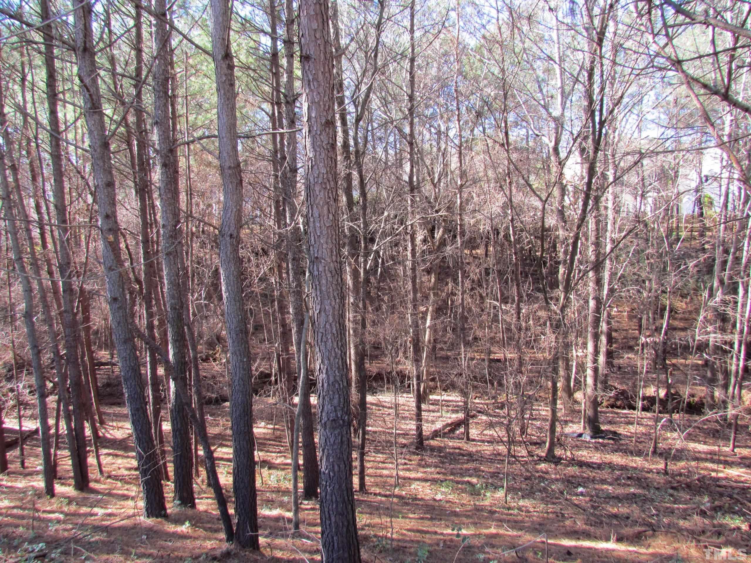 8421 Whisper Ridge Place Raleigh, NC 27613 - Photo 24 of 30 a view of outdoor space with lots of trees