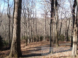 Lot10 R Lot10 R Deer Forest Road Piney Creek, NC 28663 - Photo 1 of 1 Gallery Image 1