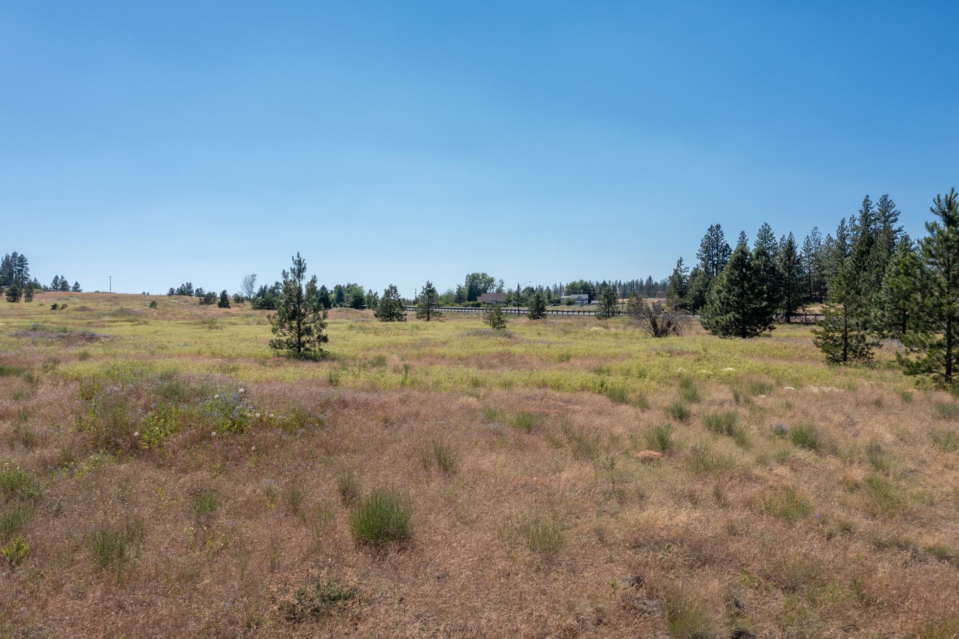 Xxx North Old Trails Road Spokane, WA 99224 - Photo 3 of 16 Gallery Image 3