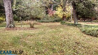 2806 Garth Road Charlottesville, VA 22901 - Photo 3 of 7 a view of a yard with a tree