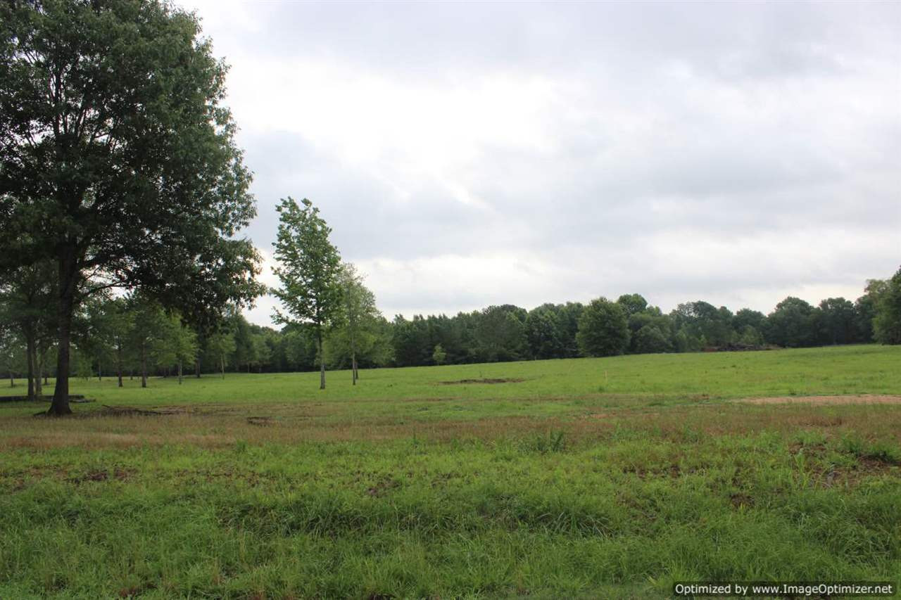 611 Petrified Forest Road, Unit 1 Flora, MS 39071 - Photo 2 of 5 Photo 2