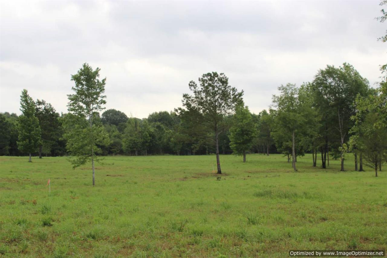 611 Petrified Forest Road, Unit 1 Flora, MS 39071 - Photo 3 of 5 Photo 3