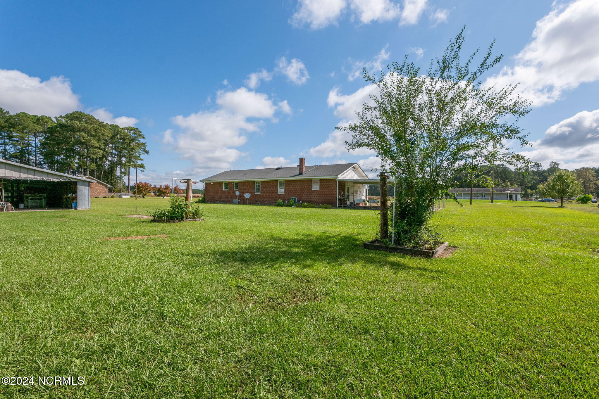 7954 Tedder Road Lucama, NC 27851 - Photo 36 of 38 19-web-or-mls-P1241848