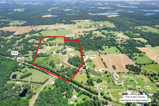 a view of park with large trees