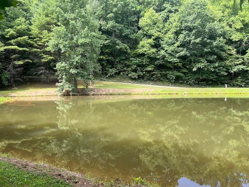 Tbd Music Road Northwest Floyd, VA 24091 - Photo 14 of 26 Gallery Image 14