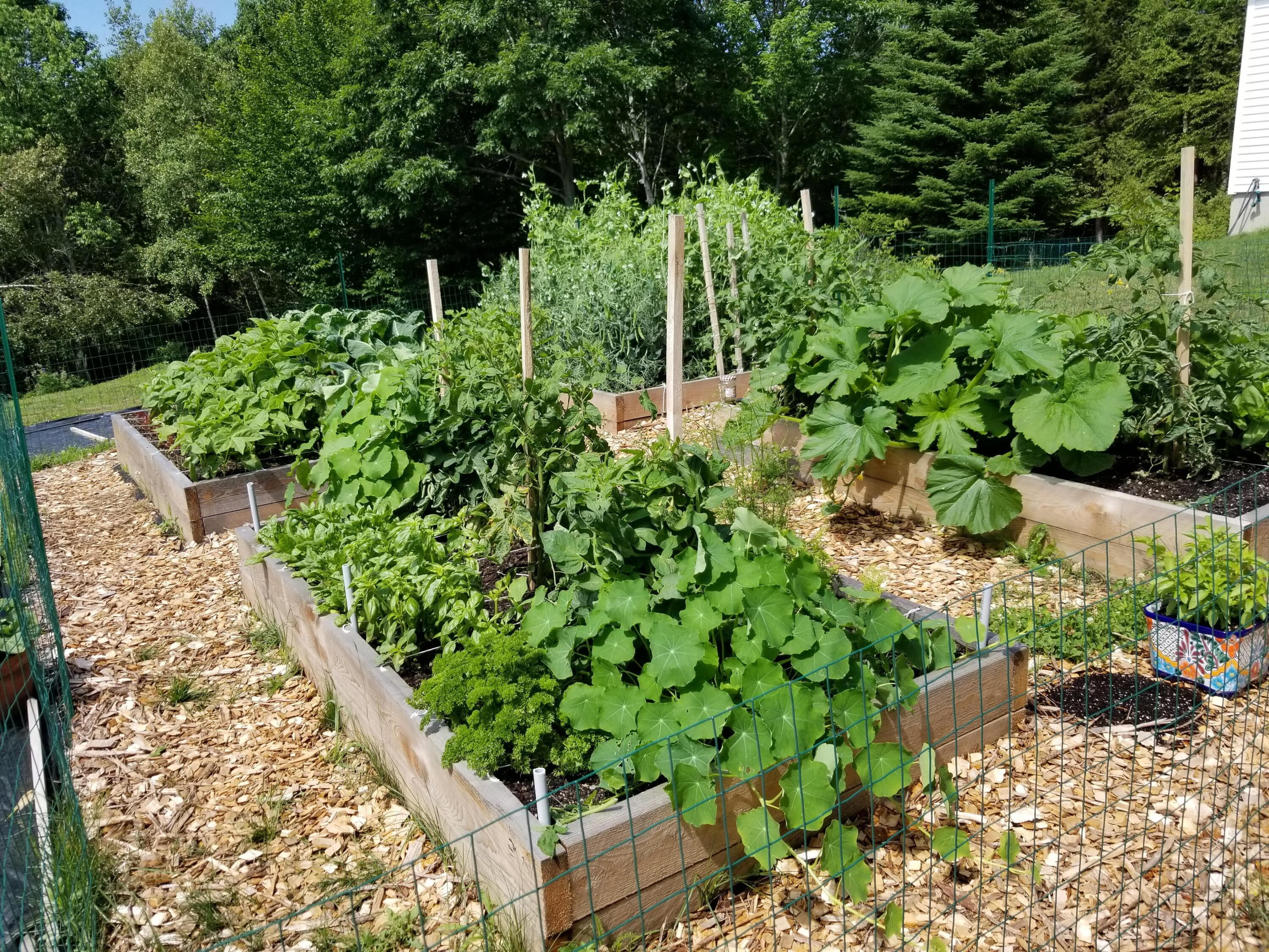94 Ellsworth Road Blue Hill, ME 04614 - Photo 51 of 51 Gardens