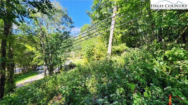 a view of outdoor space with lots of trees