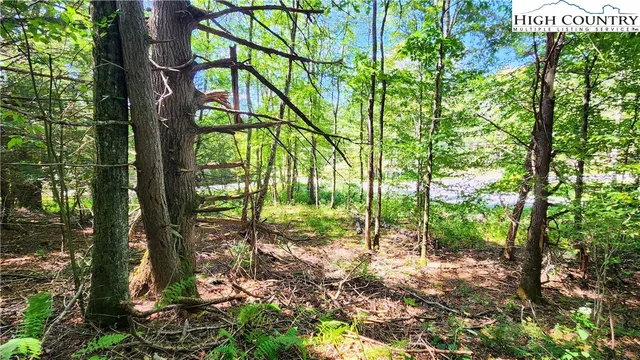 a aerial view of a house with swimming pool and large trees