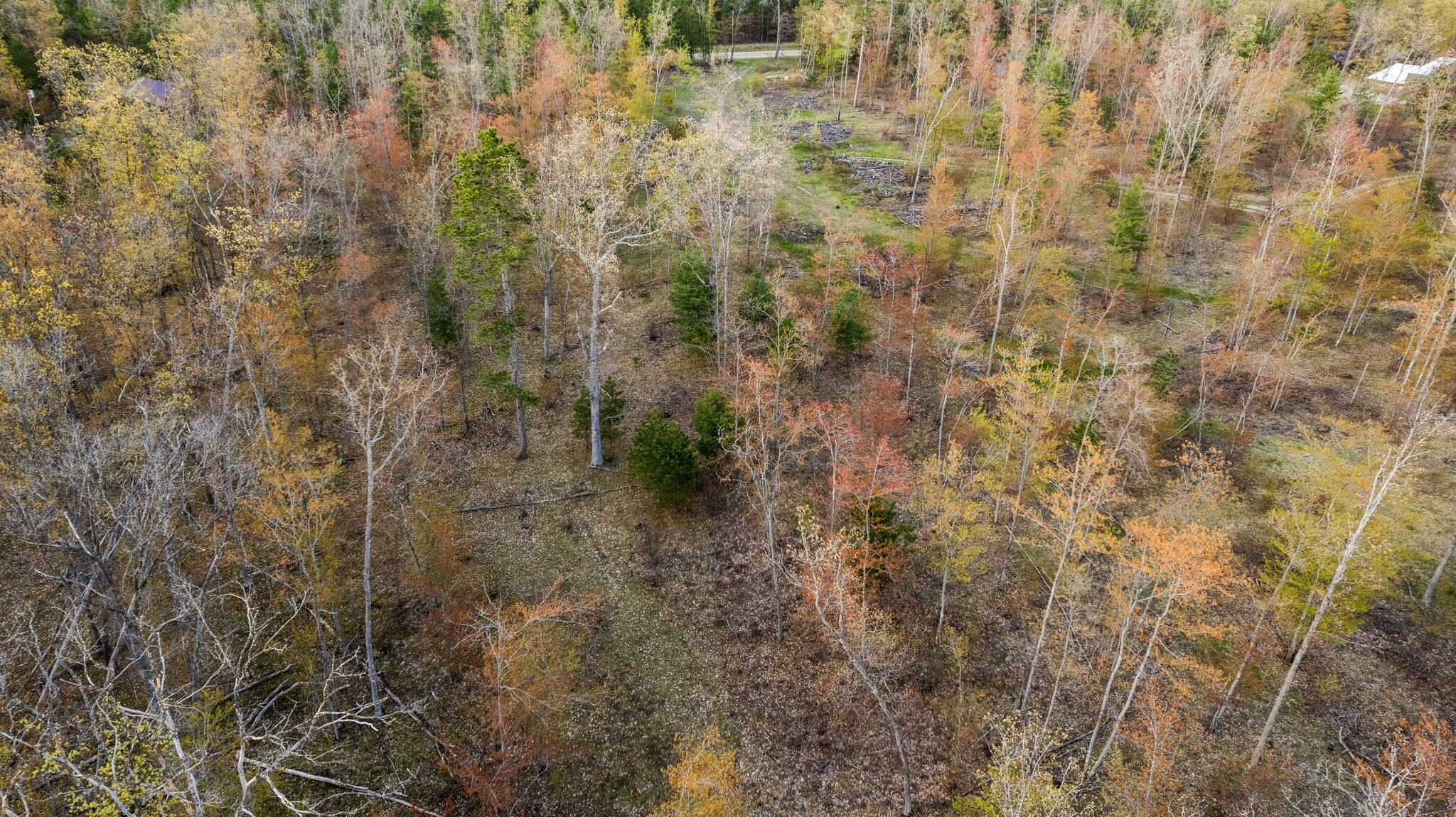 10-acres West Miller Road Lewiston, MI 49756 - Photo 8 of 43 Gallery Image 8