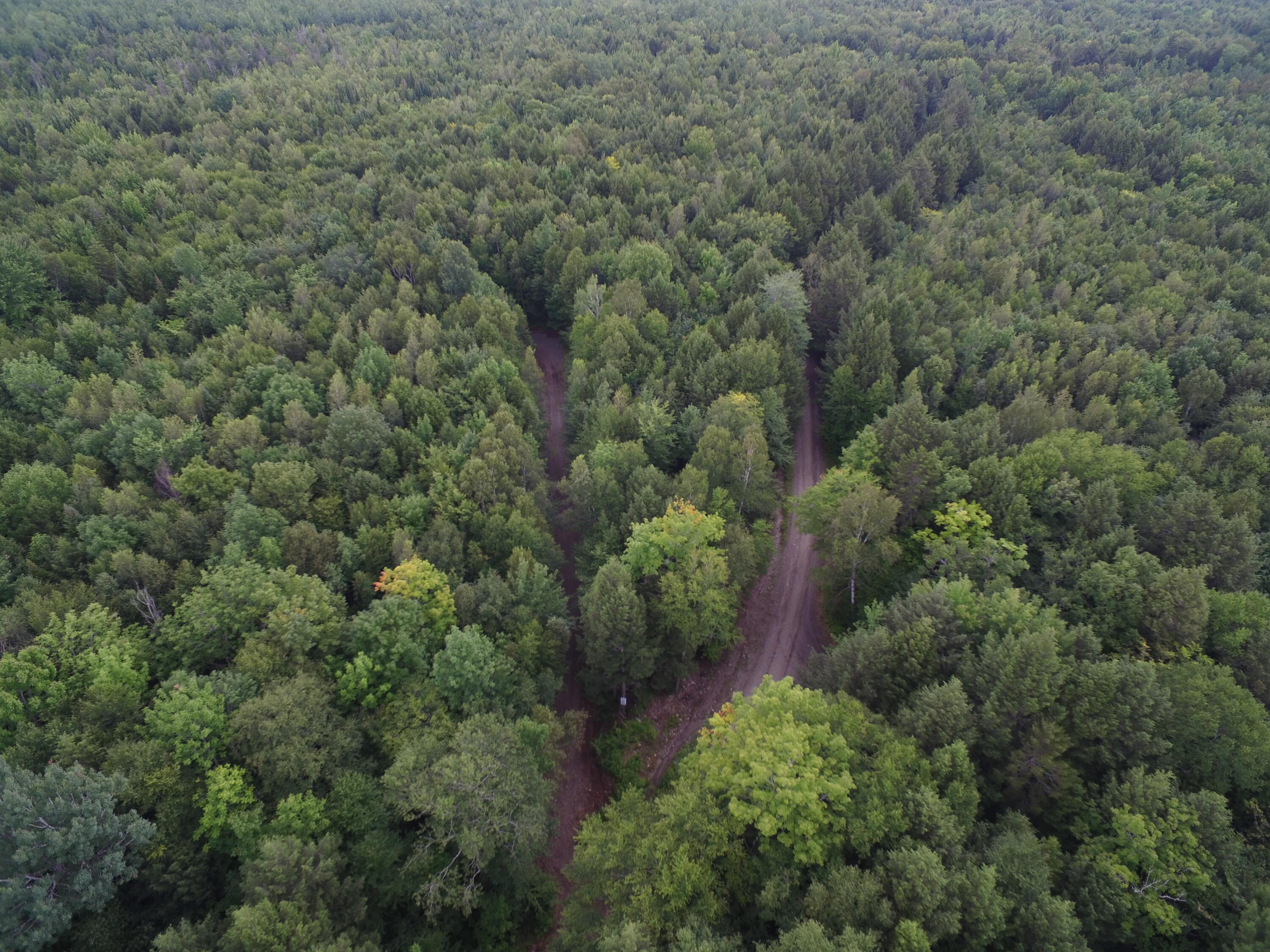 Off East Madagascal Road Burlington, ME 04417 - Photo 12 of 18 DJI_0538