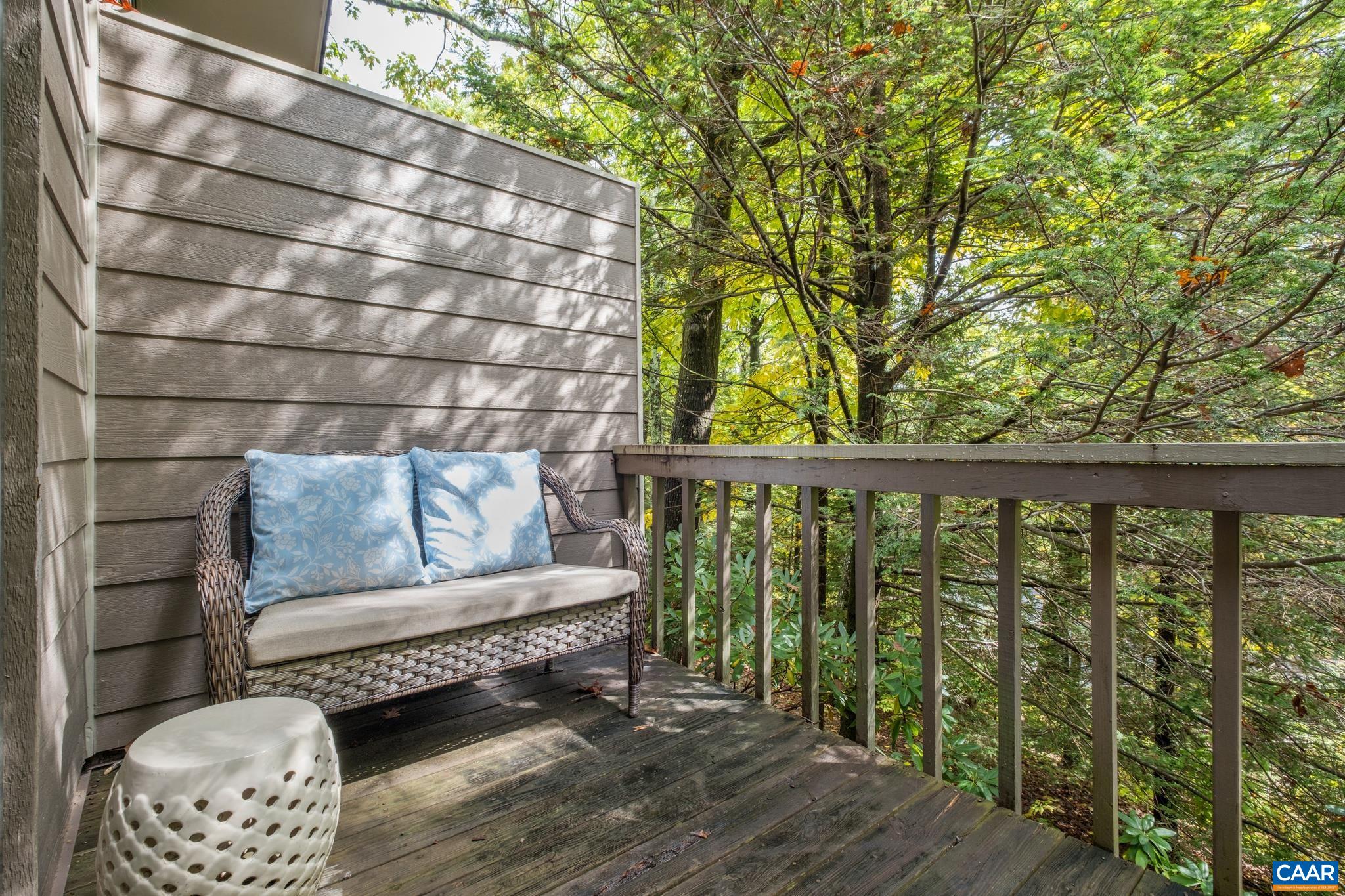 479 3 Ridges Roseland, VA 22967 - Photo 18 of 26 Gallery Image 18