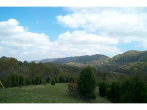 0 Clinch Valley Road, Unit TR5 Eidson, TN 37731 - Photo 1 of 4 Photo 1