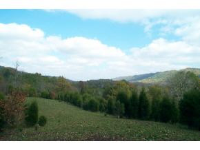 0 Clinch Valley Road, Unit TR5 Eidson, TN 37731 - Photo 2 of 4 Photo 2