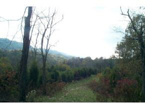 0 Clinch Valley Road, Unit TR5 Eidson, TN 37731 - Photo 3 of 4 Photo 3