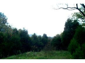 0 Clinch Valley Road, Unit TR5 Eidson, TN 37731 - Photo 4 of 4 Photo 4