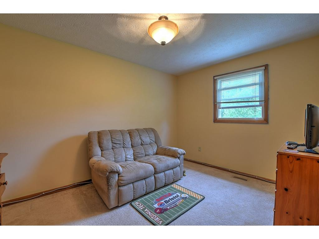 119 Browder Road Gray, TN 37615 - Photo 10 of 21 Photo 10