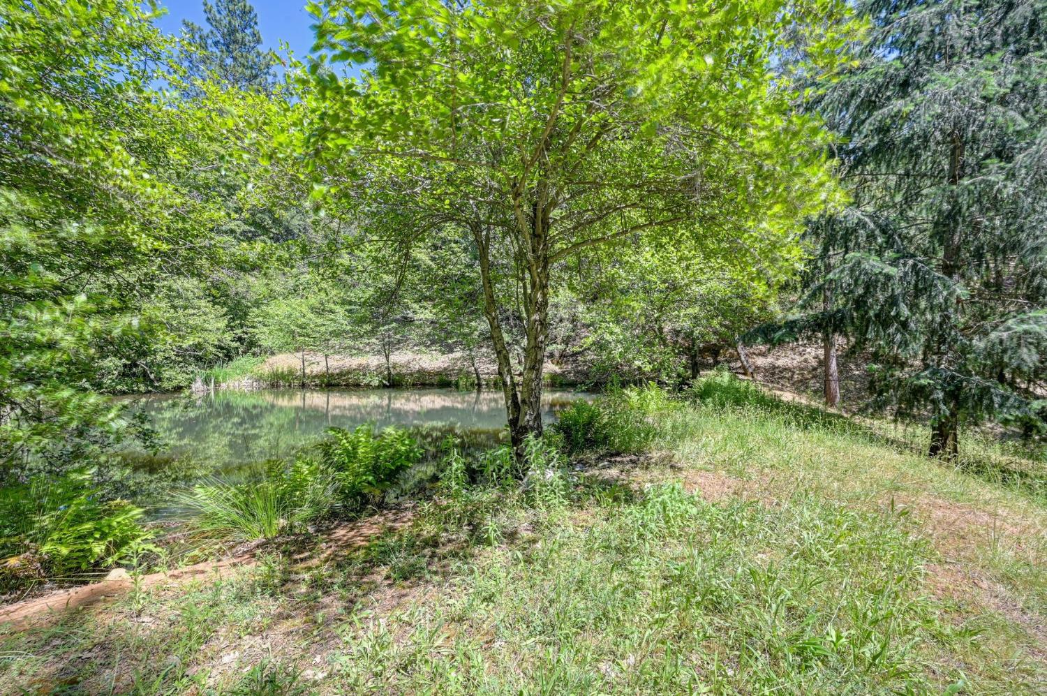1205 Tokayana Ranch Lane Colfax, CA 95713 - Photo 54 of 60