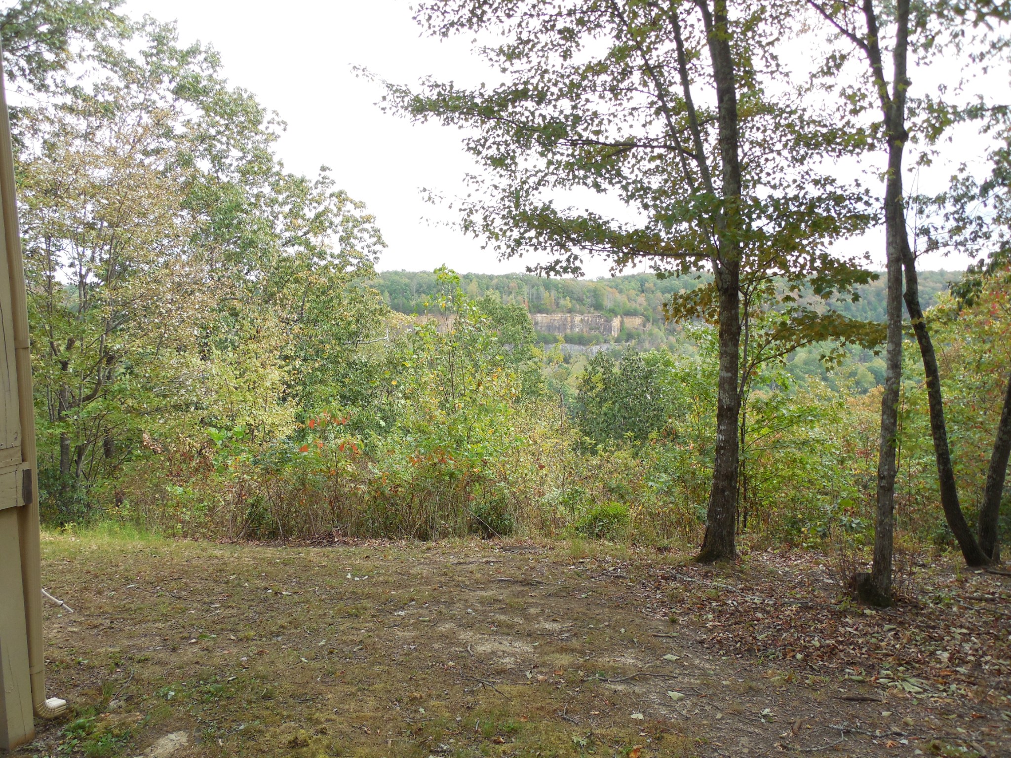 1728 Ridge Cliff Drive Monteagle, TN 37356 - Photo 12 of 15 Gallery Image 12
