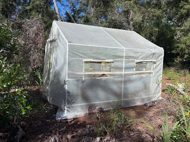 a view of outdoor space with trees