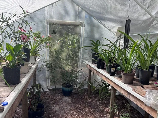 a picture of flowers