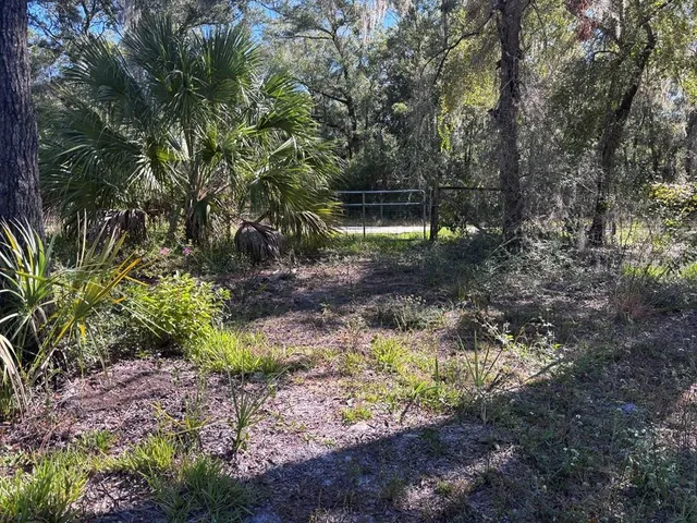 a view of a swimming pool with a yard and large trees