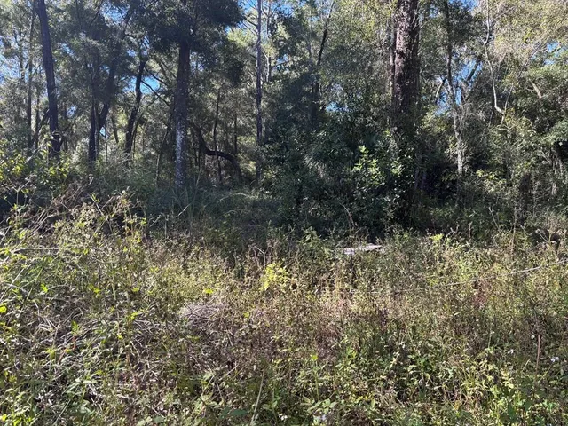 $220,000 | 3250 Northwest 48th Avenue, Chiefland, FL 32626