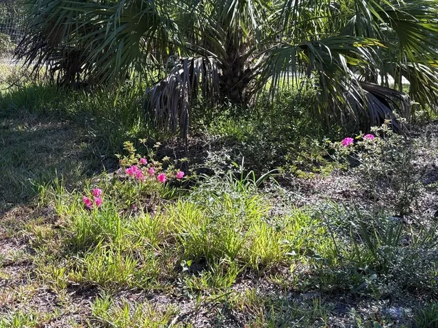 $220,000 | 3250 Northwest 48th Avenue, Chiefland, FL 32626