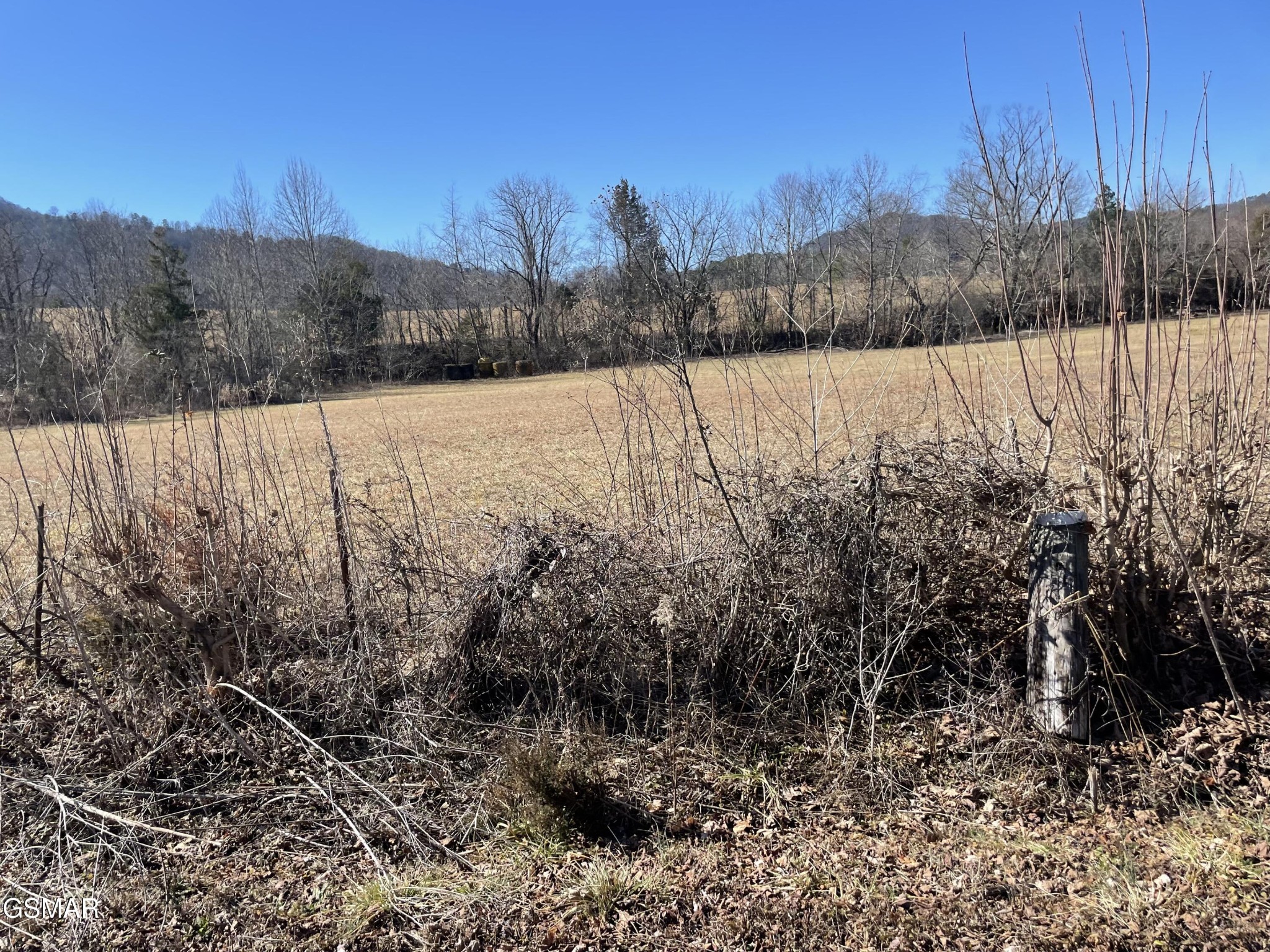 456 Line Springs Road Sevierville, TN 37862 - Photo 2 of 5