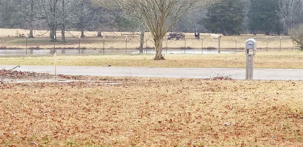 956 Wynndale Road Terry, MS 39170 - Photo 2 of 4 Photo 2