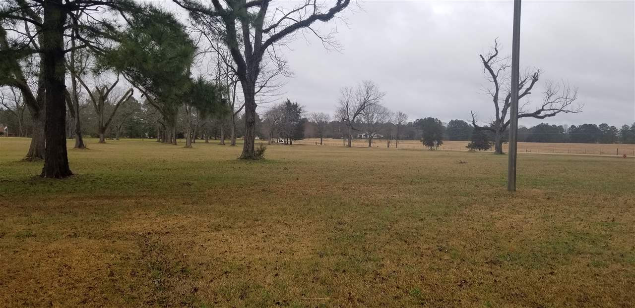 956 Wynndale Road Terry, MS 39170 - Photo 3 of 4 Photo 3