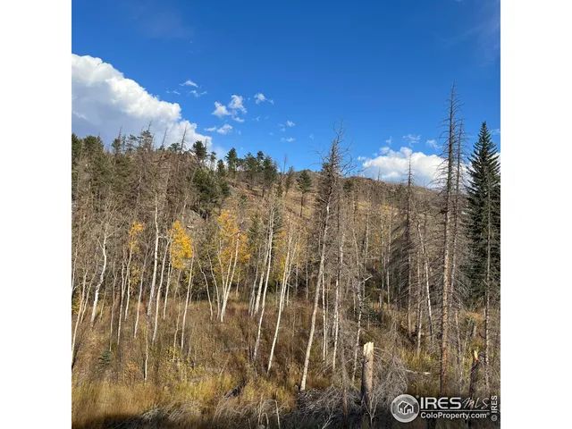 $145,000 | 11 Monument Gulch Way, Bellvue, CO 80512