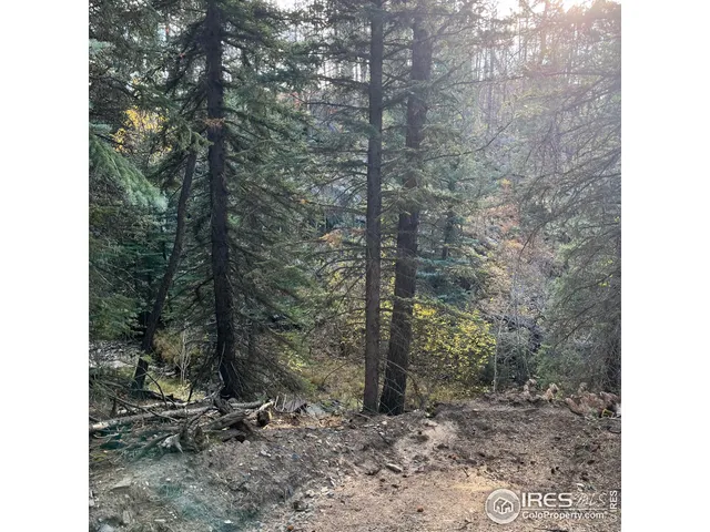 $145,000 | 11 Monument Gulch Way, Bellvue, CO 80512