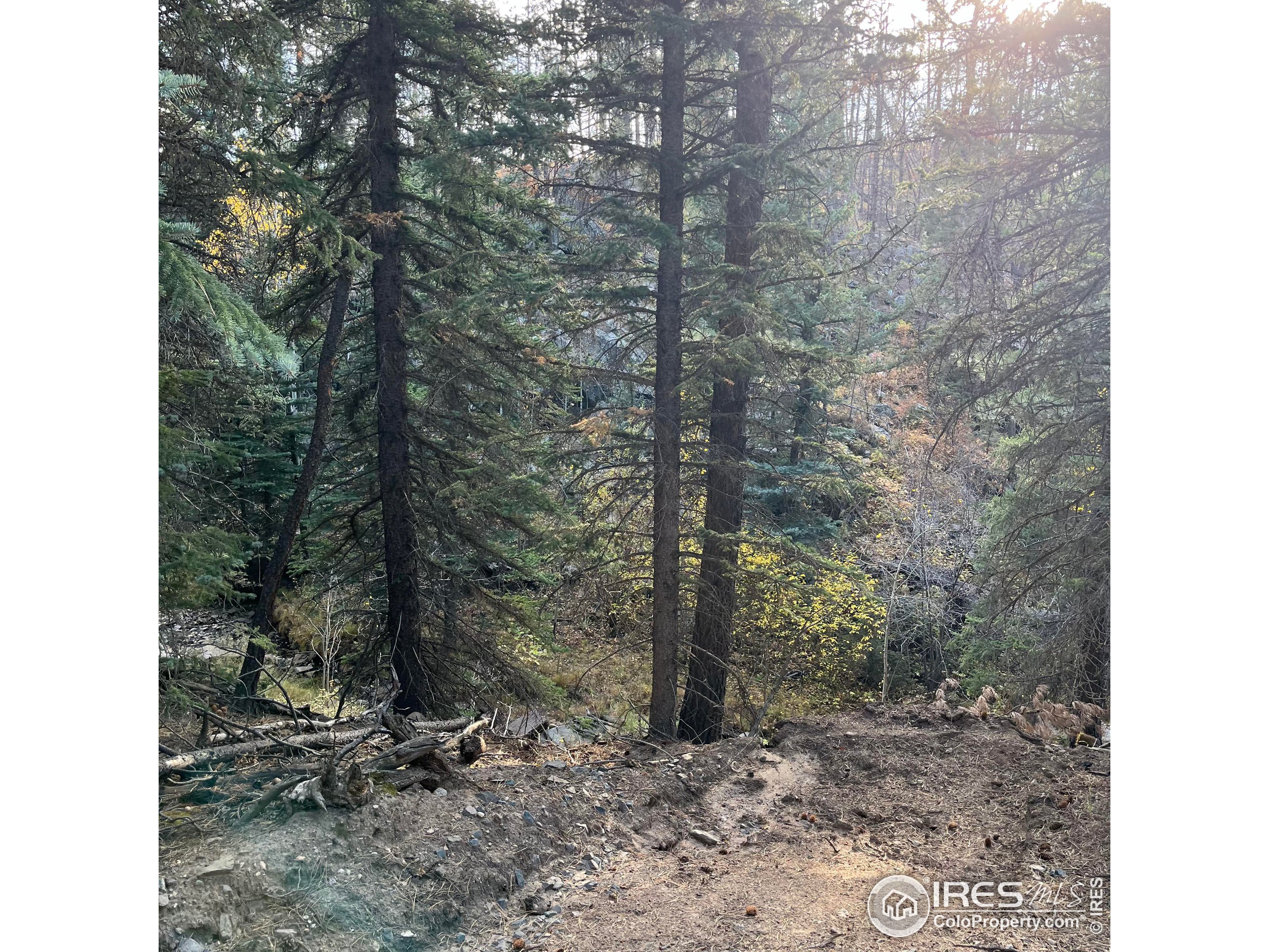 11 Monument Gulch Way Bellvue, CO 80512 - Photo 2 of 9