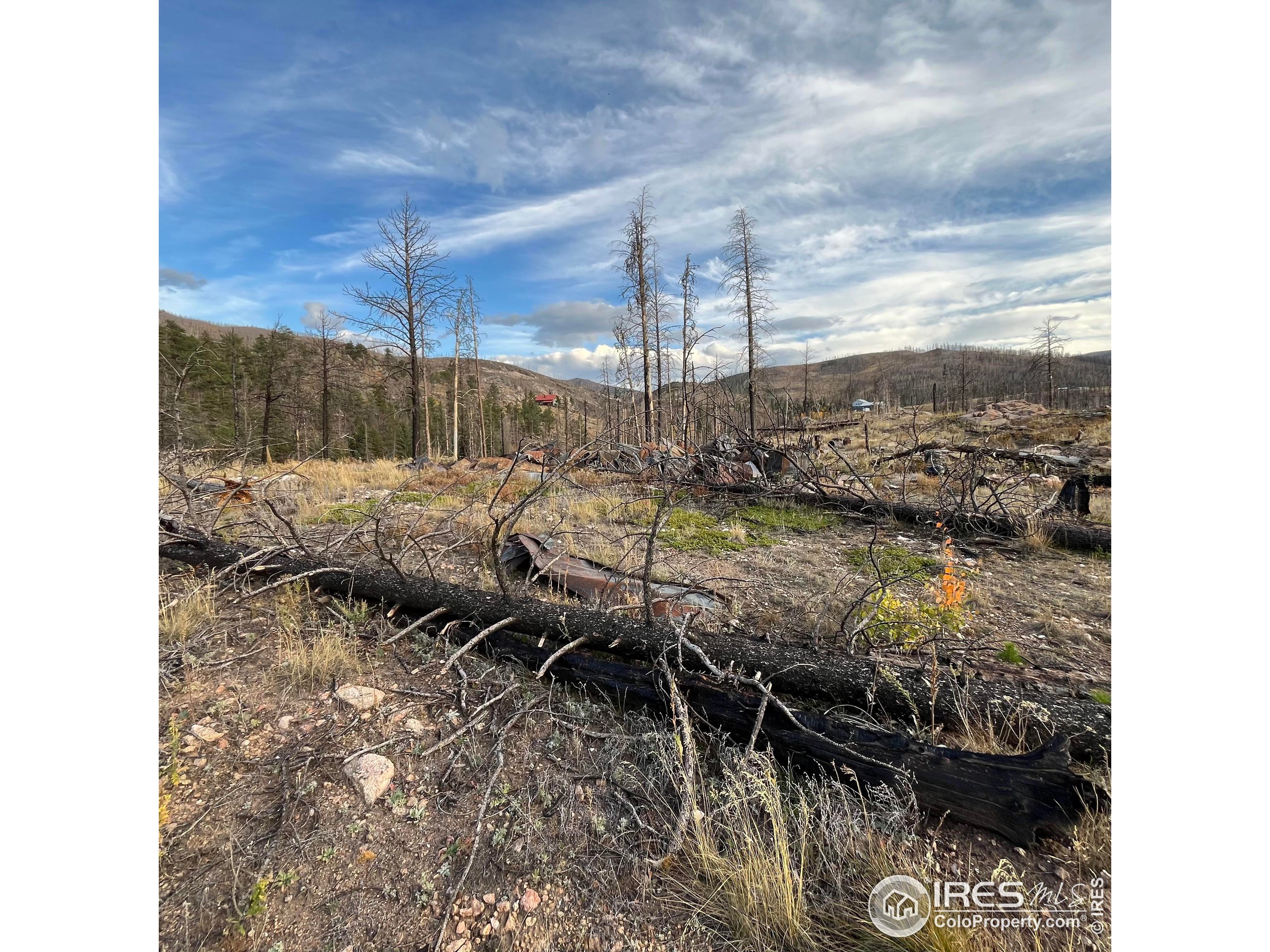 11 Monument Gulch Way Bellvue, CO 80512 - Photo 5 of 9