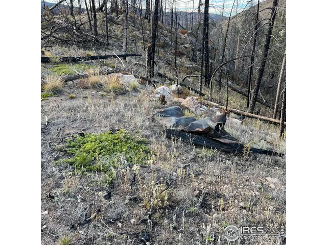 $145,000 | 11 Monument Gulch Way, Bellvue, CO 80512