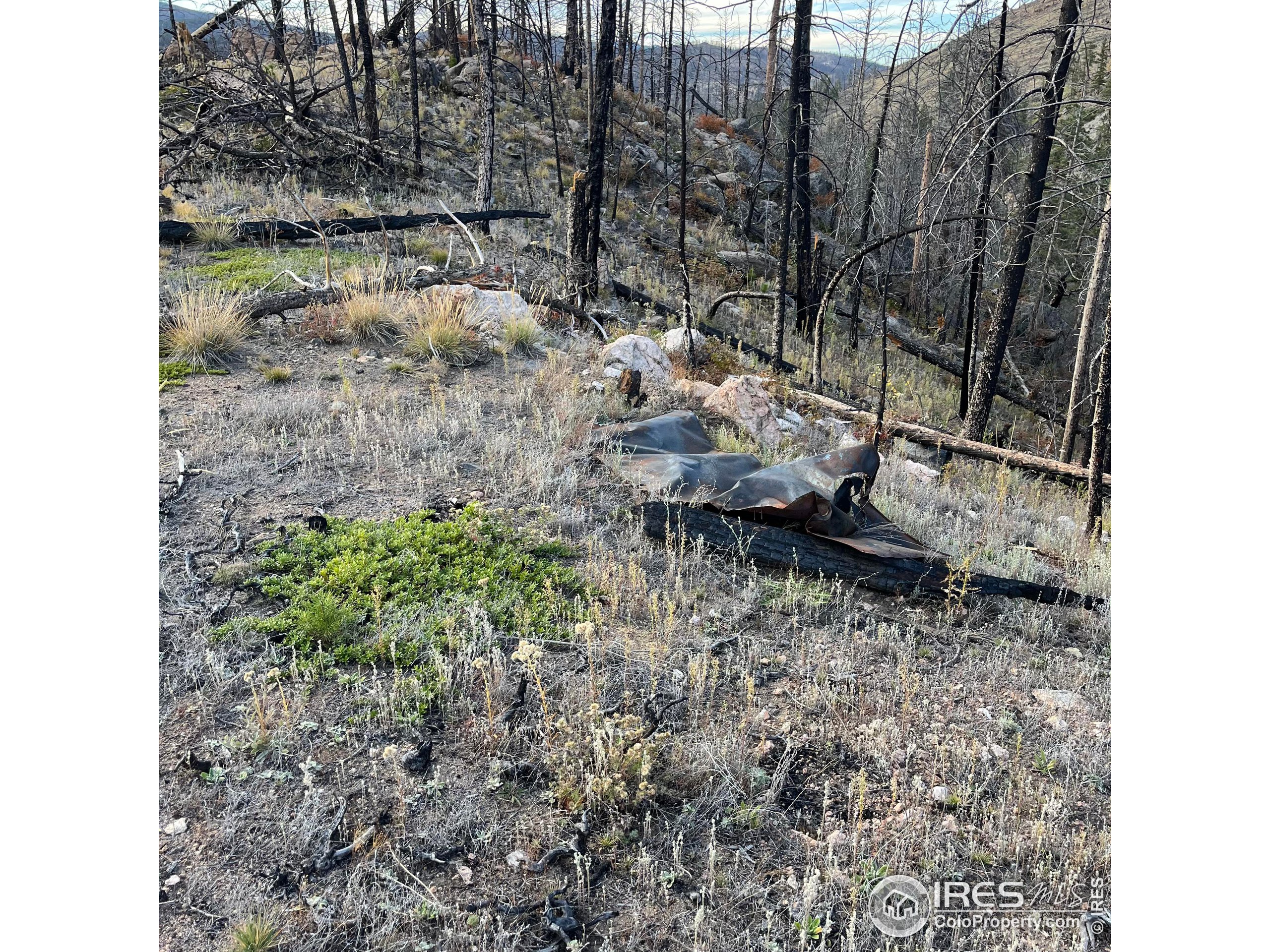 11 Monument Gulch Way Bellvue, CO 80512 - Photo 8 of 9