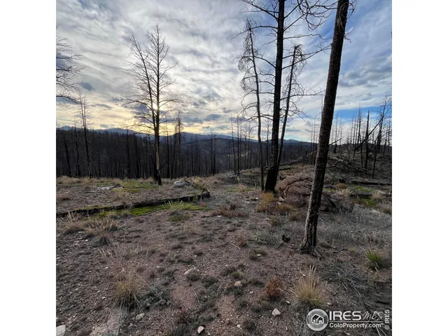 $145,000 | 11 Monument Gulch Way, Bellvue, CO 80512