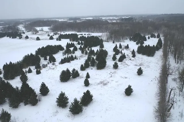 $750,000 | 50742 Co Highway 53, Perham, MN 56573