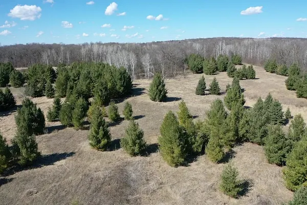 $750,000 | 50742 Co Highway 53, Perham, MN 56573