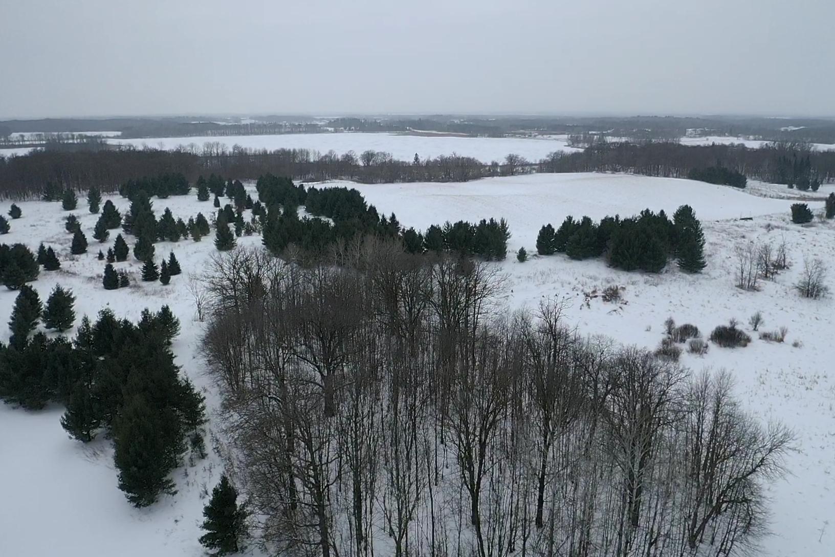 50742 Co Highway 53 Perham, MN 56573 - Photo 10 of 48